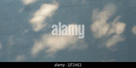 Abstract gray shadow background with light bokeh, natural leaves tree branch falling on white concrete wall in sunny day Stock Photo