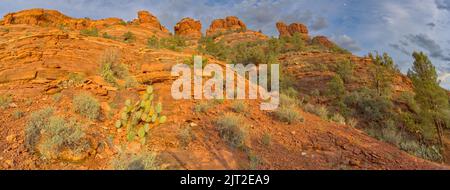 The west side of Cockscomb Butte in Sedona Arizona viewed from the Ground Control Trail near sundown. Stock Photo