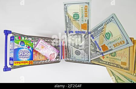 Viersen, Germany - July 9. 2022: Closeup of two model shopping carts with branded products and a lot of cash us dollar money banknotes Stock Photo