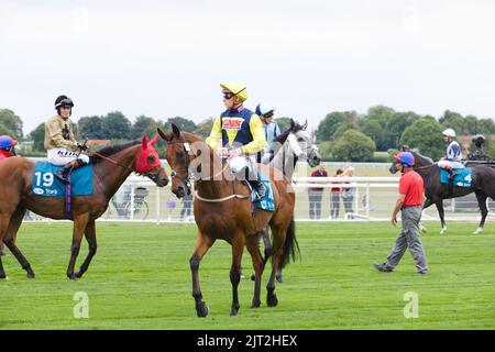 Jockey Jason Watson on Orbaan at York Races. Stock Photo