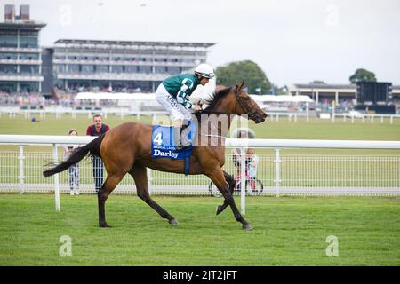 Jockey Shane Foley on Magical Lagoon at York Races Stock Photo - Alamy