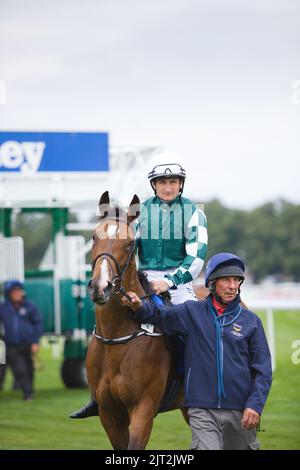 Jockey Shane Foley on Magical Lagoon at York Races Stock Photo - Alamy