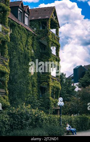 A vertical shot of a building with ivy growing on the wall. A concept of ecology and green living. Stock Photo