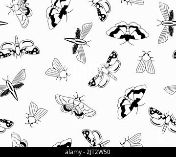 Nocturnal moth, butterflies and moth, seamless vector background in outline, pattern. Flying insects, nature, entomology and entomological, wallpaper Stock Vector