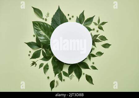 White round mockup for cosmetic product ad with green leaves frame, flatlay. Stock Photo