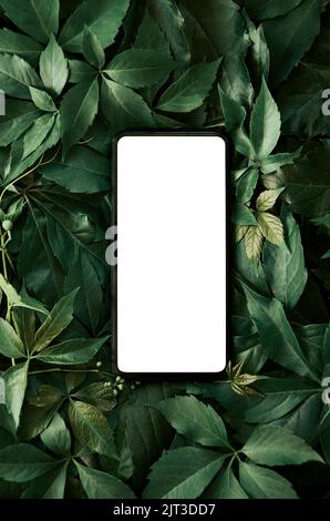 Mobile phone screen template advertising on green leaves vertical background. Stock Photo