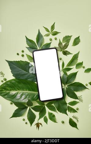 Mobile phone screen template ads with green leaves frame vertical background. Stock Photo