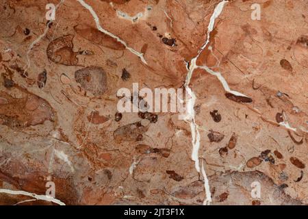 Detalle de las betas de un suelo de mármol rojo Stock Photo