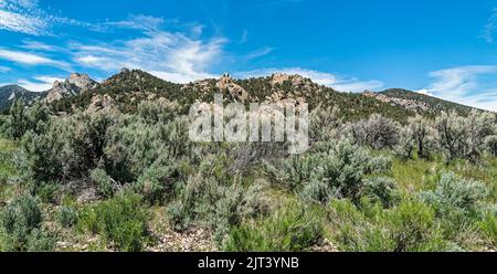 Sage and grass grows among the rock formations at the City of Rocks National Reserve, Idaho, USA Stock Photo