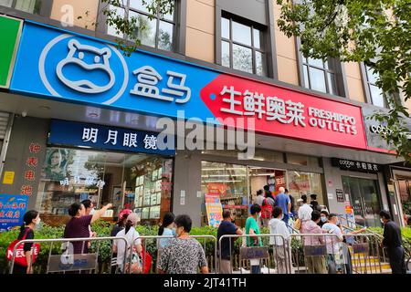 A queue of hundreds of meters stands in front of a Hema 'FRESHIPPO OUTLETS' store in Shanghai, China, on Aug 28, 2022. It is reported that Hema 'FRESH Stock Photo