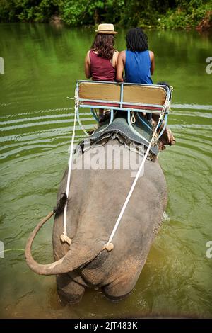 The ultimate bucket list experience. Rear view shot of two young tourists on an elephant ride through a tropical rainforest. Stock Photo