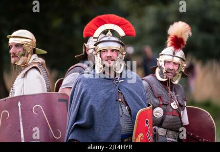 Roman living history reenactors during the reenactment at Chesters ...