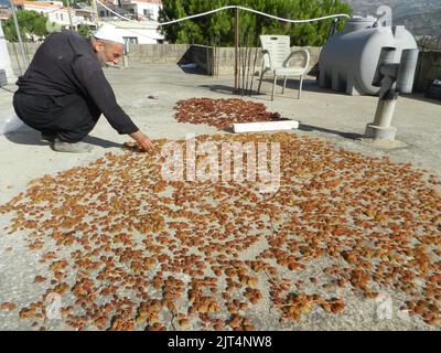 Beirut, Lebanon. 27th Aug, 2022. A farmer dries grapes in the city of Hasbaya, southern Lebanon, on Aug. 27, 2022. Credit: Taher Abu Hamdan/Xinhua/Alamy Live News Stock Photo