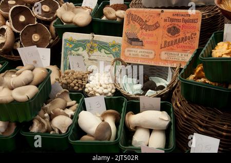 Mushroom Stall, Portobello Road Market, Portobello Road, London, UK.  Portobello Road Market was famous for antiques for many years but now has become Stock Photo