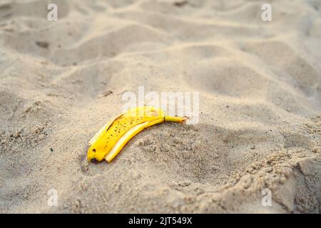 banana peel lying on the sand beach. beach pollution Stock Photo
