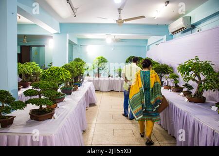Bonsai tree exhibit on August 27, 2022, Stock Photo