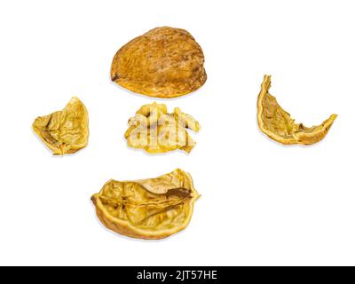 Two halves of a split walnut isolated on a white background. Juglans regia. Walnut shell. Healthy food. Iodine in nuts. Nut core. Vegetarian food. Cul Stock Photo