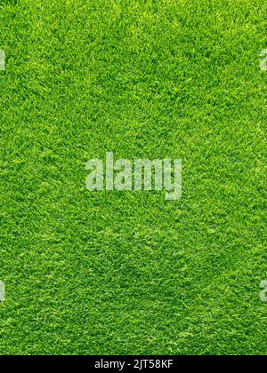 Natural background green artificial grass Stock Photo