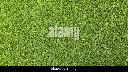 Natural background green artificial grass, top view Stock Photo