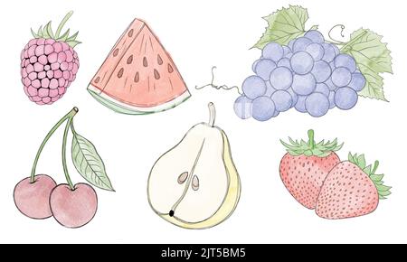 Big set of watercolor fruits and berries freehand illustration Stock ...