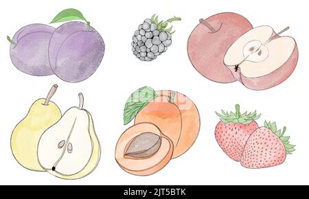 Big set of fruits and berries - hand drawn watercolor illustration ...
