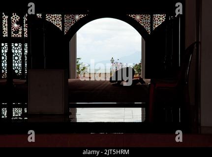 Man praying at the Floating Mosque, George Town, Penang, Malaysia, Asia Stock Photo