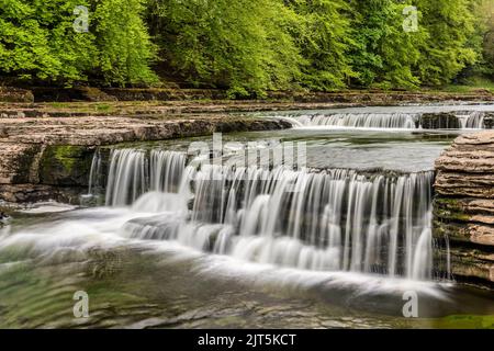 Lower Force, the lowest part of Aysgarth Falls on the River Ure in Wensleydale,  North Yorkshire. Stock Photo