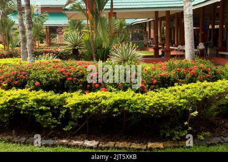 Motorway Service Station, Malaysia, Asia.  The high humidity and fertile soil in Malaysia makes it very green. Stock Photo