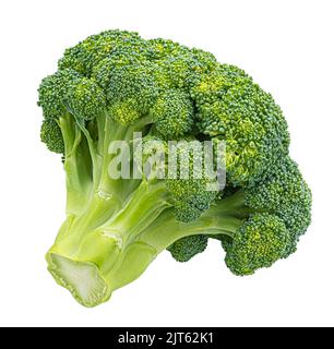 Broccoli isolated on white background Stock Photo