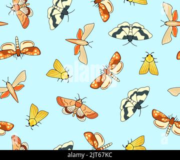 Nocturnal moth, butterflies and moth, seamless vector background, wallpaper, banner, pattern. Flying insects, nature, entomology and entomological Stock Vector