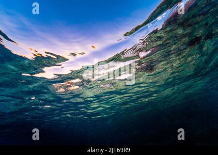Colorful underwater background ideal to use as background for presentations or desings Stock Photo