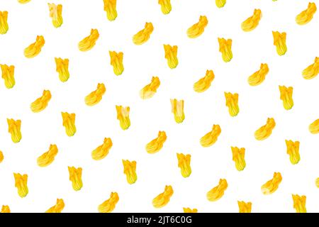 seamless pattern. Yellow flower of zucchini or pumpkin on white background. Packaging concept. Full depth of field. Stock Photo