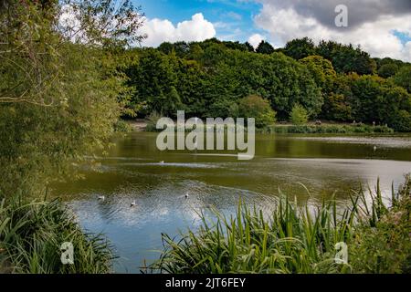 The lake at Capstone Farm Country Park, Chatham, Kent Stock Photo - Alamy