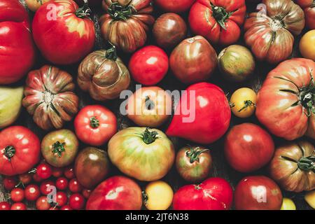Variety of organic untreated tomatoes as a natural multicolored background Stock Photo