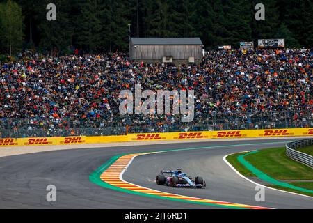 14 ALONSO Fernando (spa), Alpine F1 Team A522, action during the Formula 1 Rolex Belgian Grand Prix 2022, 14th round of the 2022 FIA Formula One World Championship from August 26 to 28, 2022 on the Circuit de Spa-Francorchamps, in Francorchamps, Belgium - Photo DPPI Stock Photo