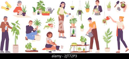 Hobby growing houseplants. Person planting and caring garden plant or grow houseplant in flowerpot, home horticulture farm sprout spray leafage, vector illustration. House plant growing by gardener Stock Vector