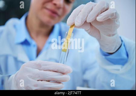 Laboratory assistant measuring PH, alkalinity acidity, dipping strip of litmus paper into a liquid solution in test tube Stock Photo