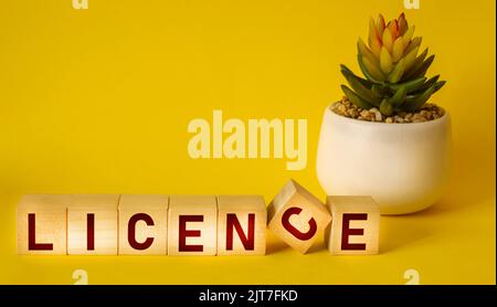 LICENSE word from wooden blocks on yellow background with cactus flower Stock Photo