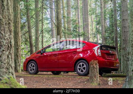 Sequim, WA USA - 07-18-2022: Red Toyota Prius Parked in Forest Stock Photo