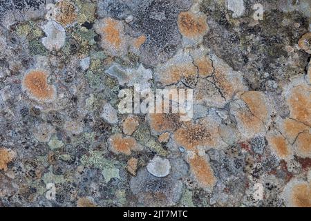 Stone wall grunge style textured close up background stained brown and yellow with an abstract lichen texture surface. Natural texture of a stone cove Stock Photo