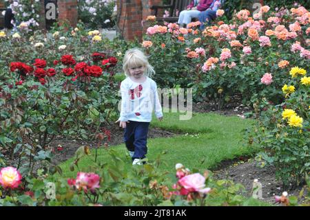 2 YEAR OLD LILY EVANS MAKES THE MOST OF THE WEATHER TO ENJOY A STROLL AMONGST THE ROSES AT THE ROSE GARDEN AT SOUTHSEA, HANTS. PIC MIKE WALKER, MIKE WALKER PICTURES, 2012 Stock Photo