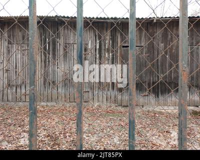 A metal net with a pattern with dry leaves behind Stock Photo