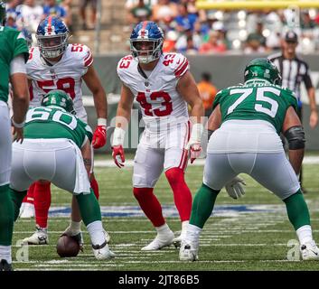 New York Giants linebacker Micah McFadden (41) looks to defend during an  NFL football game against the Dallas Cowboys on Thursday, November 24,  2022, in Arlington, Texas. (AP Photo/Matt Patterson Stock Photo - Alamy