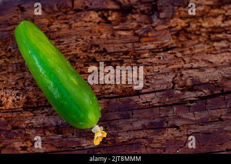 Vegetables on wooden background. garden salad. wet vegetables. taken from above. copy space.selective focus. Stock Photo