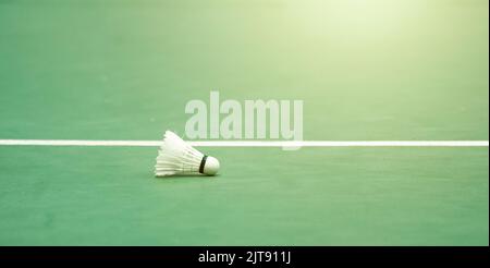 Shuttlecocks badminton White cream color on green floor of indoor badminton court in front of the line. Stock Photo