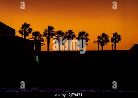 Palm trees sharply silhouetted against the bold orange and pink colors of a sunset sky Stock Photo
