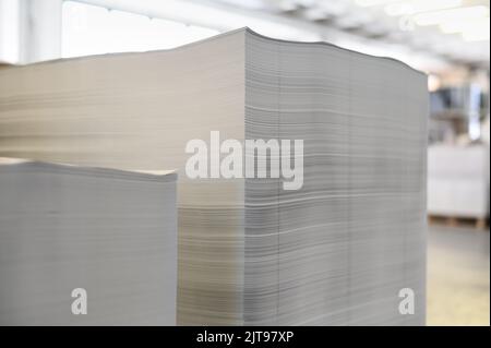 White printing paper sheets stacked in piles during workday in sunlit professional typography workshop Stock Photo