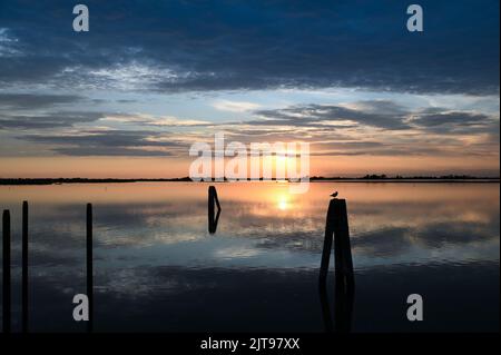 Tranquil lake with poles and bird located against cloudy sunset sky in evening in nature Stock Photo