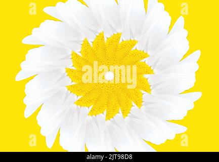Abstract background made from a blooming daisy repetitions on yellow Stock Photo