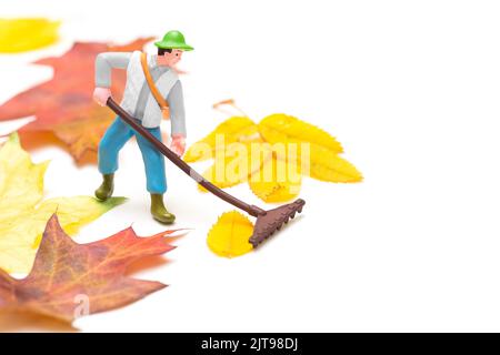Miniature toy person raking fallen leaves isolated on white. Garden jobs for autumn. Stock Photo